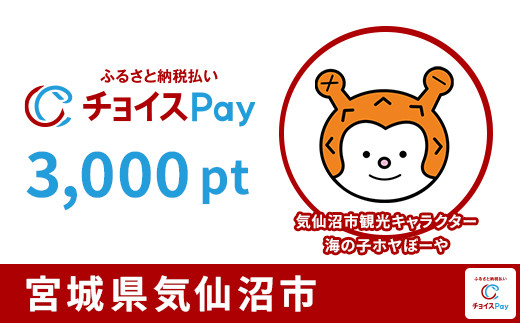 
                  気仙沼市チョイスPay 3,000pt【会員限定のお礼の品】
                