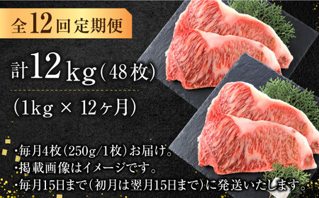 【全12回定期便】【溢れる肉汁と濃厚な旨味】博多和牛 サーロイン 1kg（250g×4枚） 広川町/株式会社MEAT PLUS[AFBO012]