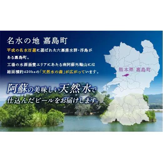FK7-0493_ 【4回定期便】 サントリー 生ビール トリプル生 350ml ×1ケース (24缶)  熊本県 嘉島町 ビール サン生