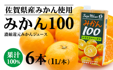 佐賀県産みかん使用 みかん100（ 紙パック 1L×6本）B110-044 温州みかん 天然 果汁100% ビタミンC 酸味 甘み みかん ジュース 佐賀県 小城市