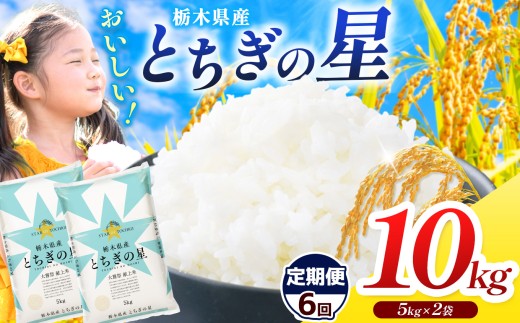 【栃木県共通返礼品】【令和7年度産】栃木県産とちぎの星 60kg |定期便 選べる ふるさと 納税 とちぎの星 お米 精米 白米 玄米 大粒 共通返礼品 送料無料 那珂川町 栃木県