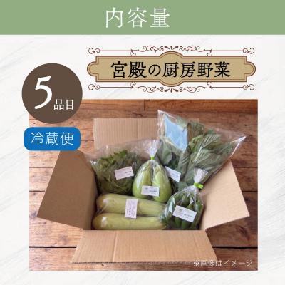 ふるさと納税 明和町 宮殿の厨房野菜おまかせ5品　定期便3回 |  | 01