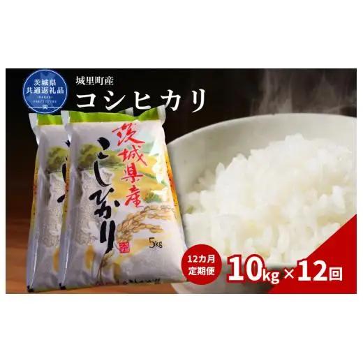 【12カ月定期便】コシヒカリ 10kg（茨城県共通返礼品・城里町産） / 米 こめ コメ お米 おこめ コシヒカリ こしひかり 白米 精米 ごはん ご飯 令和7年産 10kg 定期便 茨城県 城里町 利根町