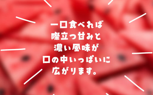 【先行予約】【6月上旬から発送】レッドサンスイカ（約8kg～約9.8kg×1玉） SMAF001