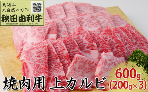 
秋田由利牛 焼肉用 上カルビ 600g（200g×3パック 焼き肉）
