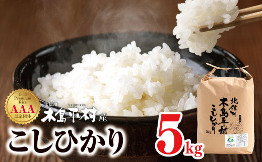 【先行予約】木島平産こしひかり 約5kg | 米 白米 精米 特別栽培米 コシヒカリ こしひかり お米 おこめ 減農薬 長野県 木島平村 信州