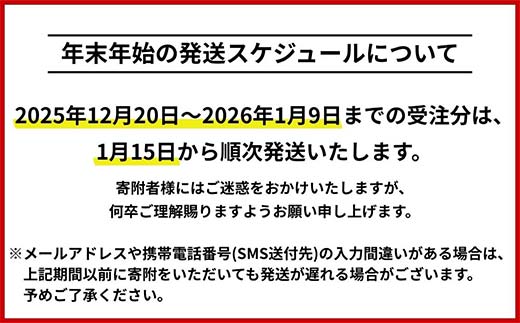 北海道釧路市 日本旅行 地域限定旅行クーポン30,000円分（Eメール発行） チケット 旅行 宿泊券 ホテル 観光 旅行 旅行券 交通費 体験 宿泊 夏休み 冬休み 家族旅行 ひとり カップル 夫婦 