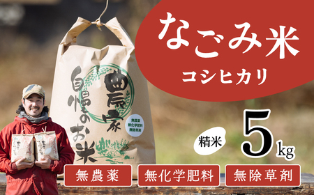 【10月発送】茨城県下妻市産 なごみ米 （ コシヒカリ ） 精米 5kg 【 お米 コシヒカリ 米 無農薬 無化学肥料 無除草剤 精米 ブランド米 茨城県産 】