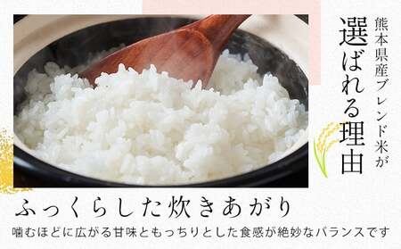 【隔月3回定期便】ひごみのり 白米 熊本県産 ブレンド米 20kg  熊本県産 ふるさと納税 白米 精米 米 こめ ふるさとのうぜい コメ お米 おこめ《お申込み翌月から出荷》