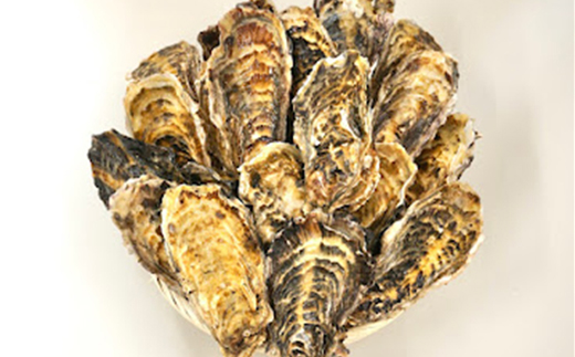 ＼先行予約／北海道 仙鳳趾名産 牡蠣 100g〜149g×30コ+かきナイフ付き かき漁師直送 K3-2＜出荷時期：2025年7月1日ごろ〜順次出荷＞＜センポウシ : 釧路町の東 厚岸湾の西 カキの名産地＞