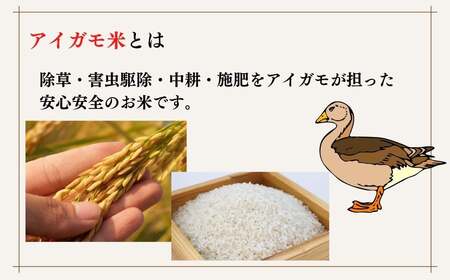 ＜令和5年産＞佐田の郷の米 アイガモ米(10kg)お米 白米 ごはん ブランド米 常温 常温保存【111700600】【雅設置プロジェクト　佐田の郷の会】