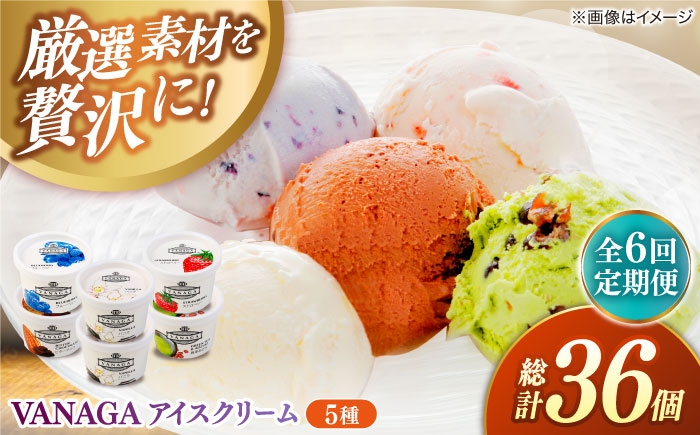 
            アイスクリーム【全6回定期便】ご褒美アイスにぴったり！VANAGA 5種類のアイスクリーム6個入 アイスクリーム アイス 6回 6ヶ月 半年 毎月 6個 6個入り 5種 5種類 詰め合わせ セット 食べ比べ デザート スイーツ おやつ ごほうび 木次乳業 バニラ ストロベリー 抹茶あずき ビターチョコ ブルーベリー お取り寄せ 島根県雲南市/木次乳業有限会社 [AIBH027]
          