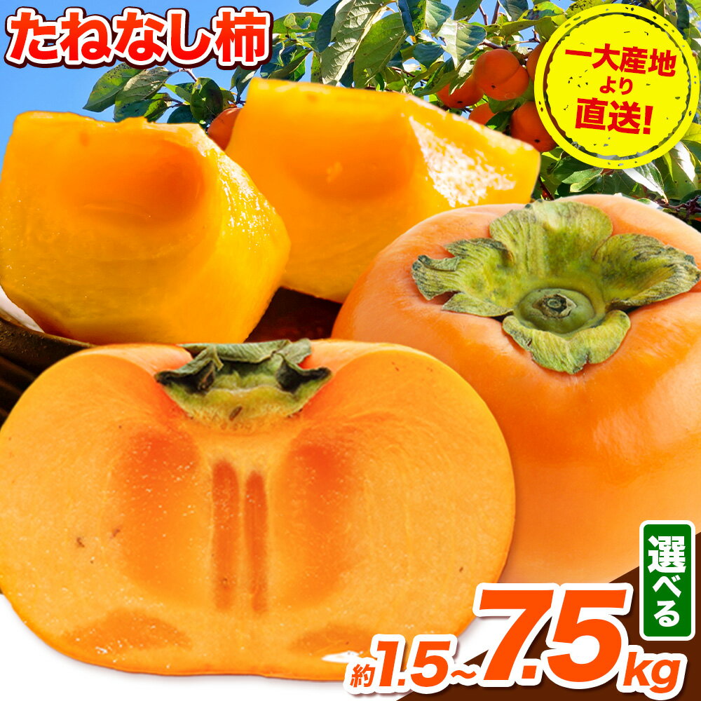 【ふるさと納税】たねなし柿（刀根早生柿・平核無柿）約1.5kg ～ 7.5kg 《2026年9月中旬-11月上旬頃出荷(土日祝除く)》 和歌山県 岩出市 種なし柿 柿 果物 フルーツ 2L～Mサイズ カキ