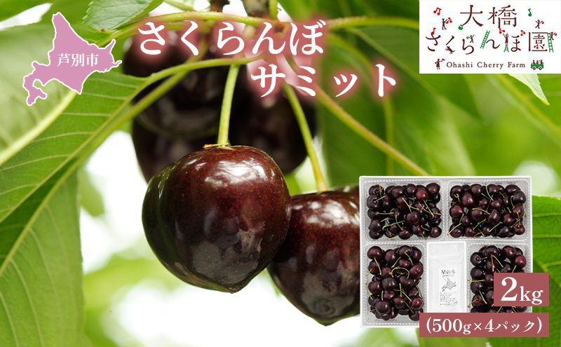 【先行受付】さくらんぼ 黒 サミット2kg（500g×4パック）高級 大橋 チェリー 北海道 芦別 黒 希少 4L 大