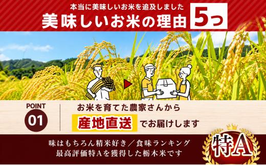 【定期2回】訳あり 数量 限定 定期便 令和8年度産 とちぎの星 約 20kg | とちぎの星 ミルキークイーン お米 kome okome ご飯 米 玄米 白米 ごはん おいしい  ふるさと納税 栃