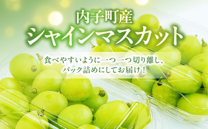 【先行予約】シャインマスカット 350g×2パック パック詰め ＜2026年8月下旬〜発送開始＞ ／ シャインマスカット 大人気 愛媛県 美味しい 人気 皮ごと 葡萄 ブドウ 愛媛県産 内子町産 新鮮