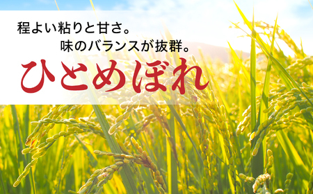 令和7年産 無洗米ひとめぼれ120kg(5kg×24袋) 