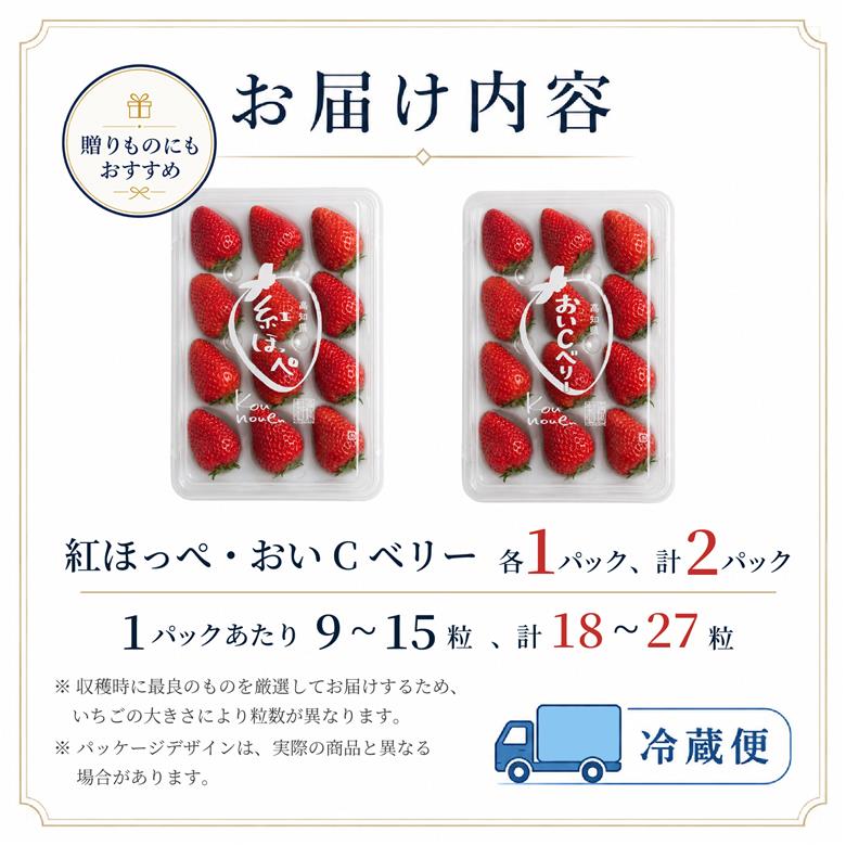 先行予約 いちご 苺 贅沢 食べ比べセット 紅ほっぺ おいCベリー 贈答品 計2パック：18～27粒 （2027年1月発送開始） | 希少 新品種 高級 厳選 こだわり 贅沢 贈り物 ギフト プレゼント 限定 お取り寄せ 旬 甘い 大粒 高糖度 産地直送 期間限定 高知県 南国市