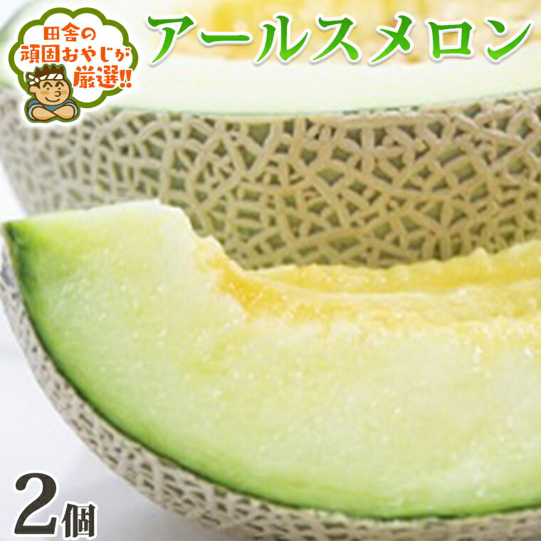 【ふるさと納税】 アールスメロン 2個 メロン ギフト 贈答品 贈り物 フルーツ 果物