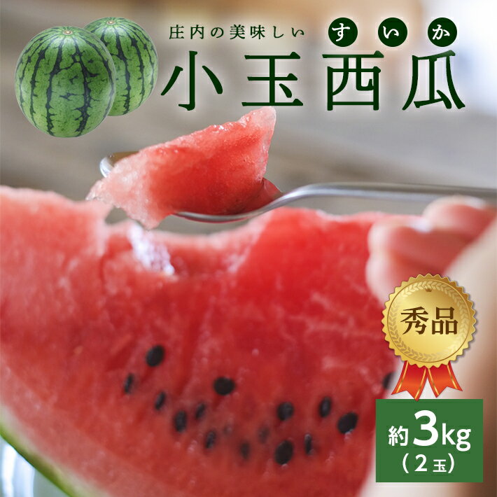【ふるさと納税】庄内の美味しい小玉西瓜 秀品 2玉 約3kg 7月上旬〜8月中旬頃お届け ※着日指定不可 小玉 すいか スイカ 果物 くだもの フルーツ 赤 夏 旬 東北 山形県 酒田市 庄内