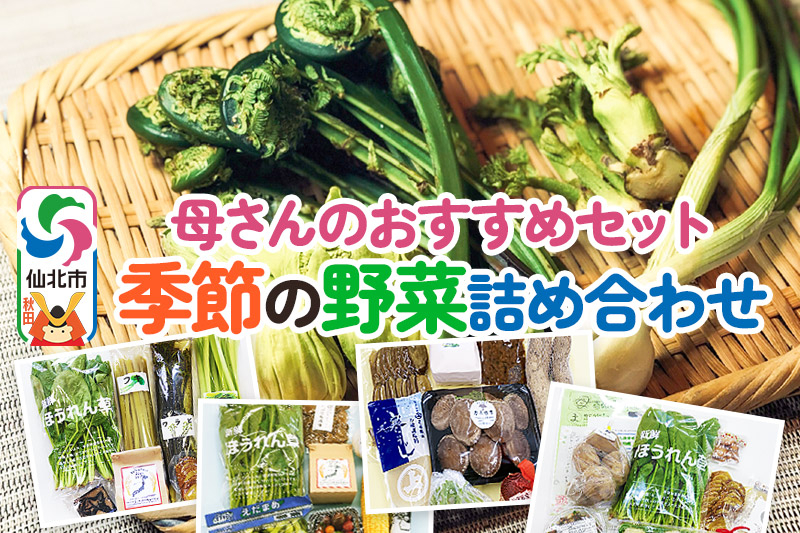 
            《8月上旬配送》母さんのおすすめセット～季節の野菜詰め合わせ～
          