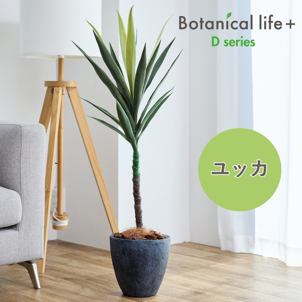 
            フェイクグリーン Botanical life+ Dシリーズ ユッカ 100cm 光触媒加工 鉢付き インテリア 抗菌 消臭 愛知県 豊橋市 送料無料 35000円
          