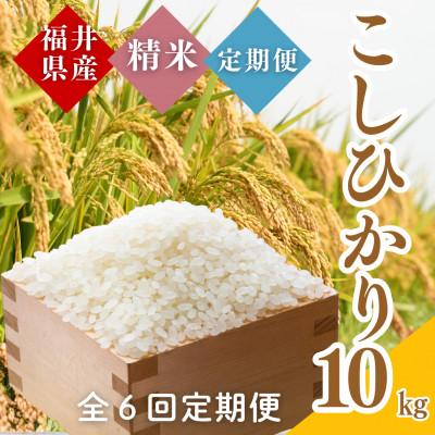 ふるさと納税 小浜市 【毎月定期便】福井県産こしひかり白米10kg全6回