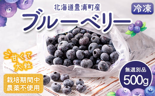 栽培期間中農薬不使用冷凍ブルーベリー　無選別品　500g 【ふるさと納税 人気 おすすめ ランキング 果物 ブルーベリー 冷凍ブルーベリー 国産ブルーベリー 濃厚ブルーベリー 大容量 無農薬 おいしい 美味しい あまい 新鮮 北海道 豊浦町 送料無料】 TYUS024