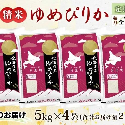 ゆめぴりか 20kg 定期便 12回 令和8年産 北海道 お米 米 ゆめぴりか