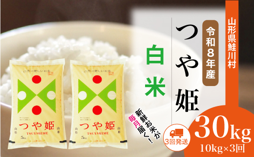 ＜令和8年産米＞ 令和9年5月上旬より発送  特別栽培米 つや姫【白米】30kg定期便 (10kg×3回） 山形県鮭川村