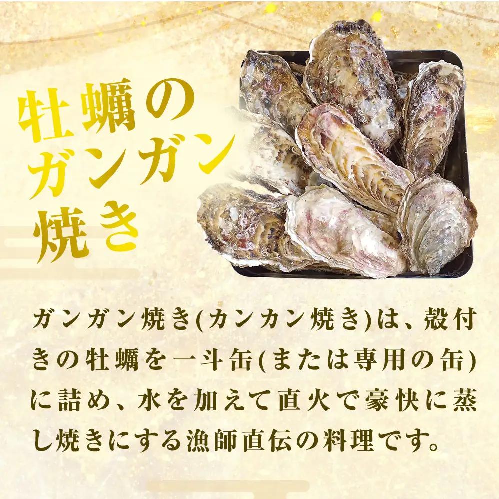 牡蠣 ガンガン焼き 2.5kg 宮城県産 加熱用 真牡蠣 かき カキ 蒸し牡蠣 貝 貝類 海産物 魚介類 海鮮 冷凍 宮城県 宮城 石巻市 石巻