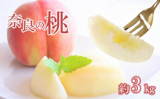 奈良の 桃 （約 3kg ） ❘ フルーツ 果物 くだもの 桃 もも モモ ピーチ 果実 7月 8月  順次発送 自宅用 家庭用 特産品 たっぷり 大人気 人気 11月 12月 発送 夏 旬 甘い 農家直送 産地直送 お取り寄せ 送料無料  デザート 福西農園 奈良県 五條市