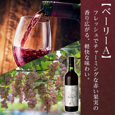 ふるさと納税 笛吹市 山梨県 モンデ酒造 赤ワイン(ベーリーA・メルロ&ブラッククイーン )飲み比べ 各1本 笛吹市 |  | 01