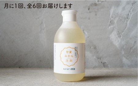 【全6回定期便】【 植物 由来 】 万能 濃縮 甘夏 みかん 洗剤 糸島市 / わかまつ農園[AHB021]