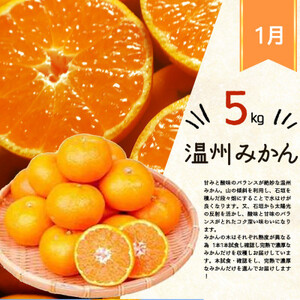 【発送月固定定期便】紀州和歌山産旬のフルーツセット(みかん・紀州デコ・清見)全3回【配送不可地域：離島】【4005746】