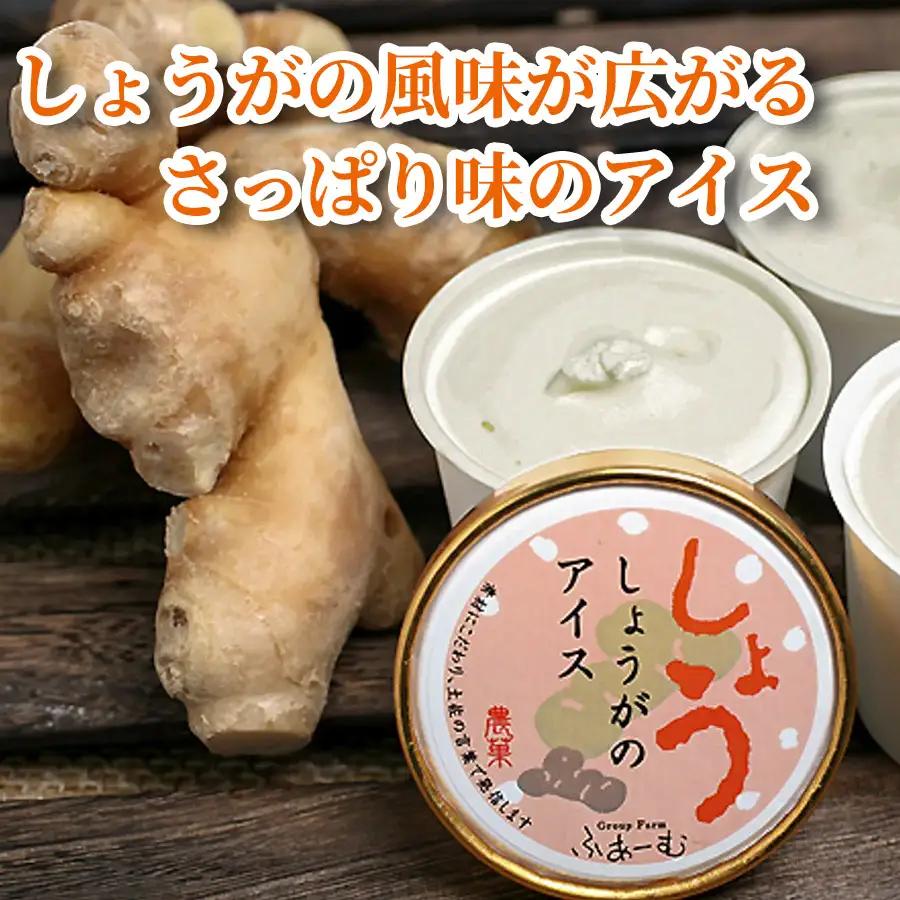 アイス しょうがのアイス 6個 アイスクリーム
