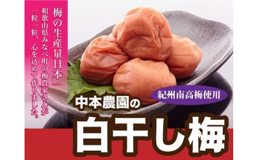 
本場和歌山みなべの昔ながらのしょっぱい梅干し 2kg（1kg×2セット）
