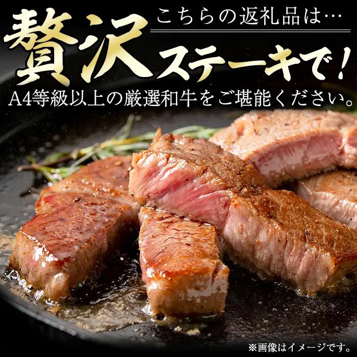 高千穂牛 サーロインステーキ(250g×2枚)【MT013】【JAみやざき 高千穂牛ミートセンター】