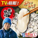 【ふるさと納税】牡蠣 むき身 冷凍 かき カキ うまさがちがう！ 広島産 大粒 かき 鍛え牡蠣 むき身 Lサイズ (冷凍) 計3kg 人気 海鮮 BBQ 簡単 レシピ ギフト 江田島市/有限会社寺本水産 [XAE026]