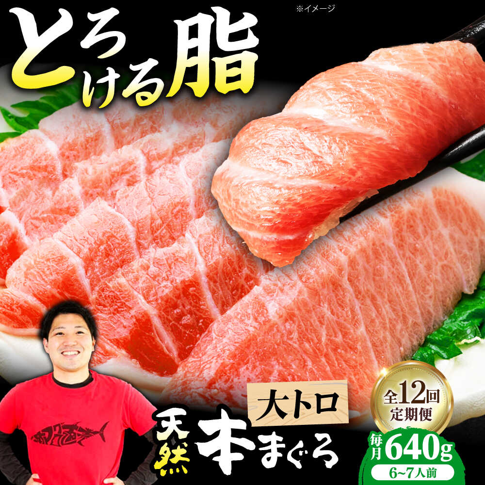 【ふるさと納税】【全12回定期便】極上！たね熟天然本まぐろ大トロ(640g) 天然 マグロ 鮪 大トロ 刺身 魚 魚介 大阪府高槻市/本まぐろ直売所[AOCE027]