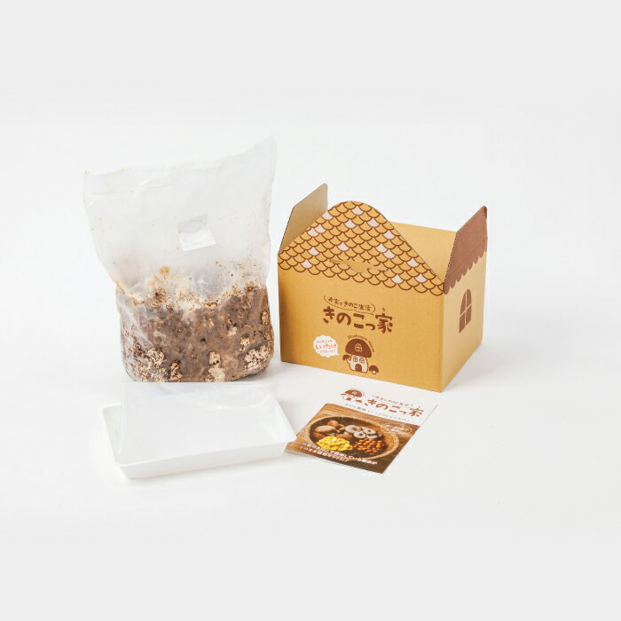 【ふるさと納税】おうちで楽しむ　しいたけ栽培キット　きのこっ家 きのこ しいたけ 栽培 キット 菌床 1個