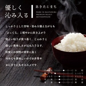 秋田県産 予約受付開始!あきたこまち【令和7年産】白米25kg(5kg×5)《10月中旬より発送》【配送不可地域：離島・沖縄県】【1637032】