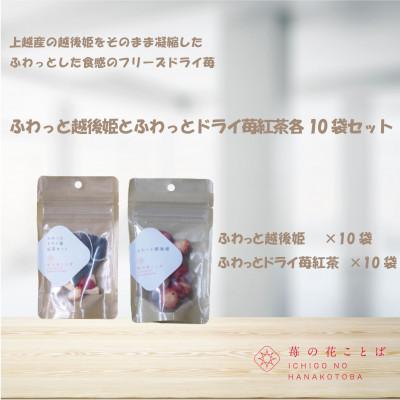 ふるさと納税 上越市 ふわっと越後姫とふわっとドライ苺紅茶　各10袋セット