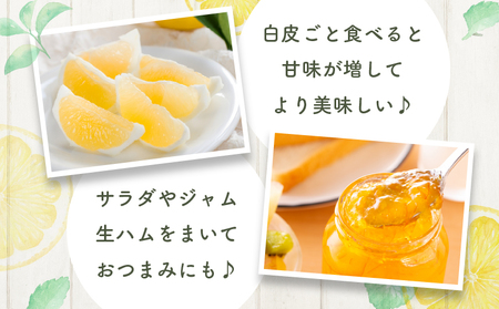 ≪先行予約≫都農町産「訳あり日向夏(約5kg)」 フルーツ 果物 柑橘 国産_T008-004