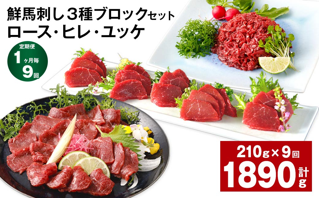 
            【1ヶ月毎9回定期便】鮮馬刺し 3種ブロックセット（ロース・ヒレ・ユッケ）
          