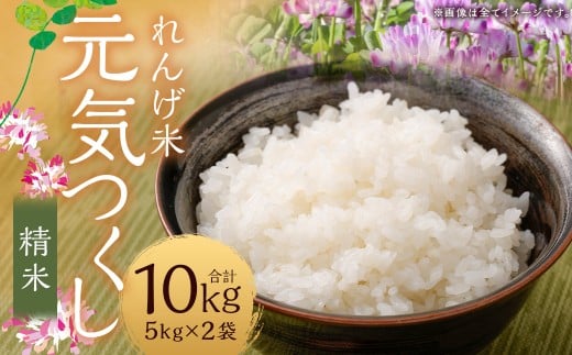 【れんげ米】【令和7年産】 元気つくし（精米） 10kg（5kg×2袋） お米 白米 【2025年9月下旬-12月下旬迄順次発送予定】