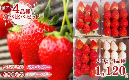 《2月上旬より順次出荷》｜栃木のいちご 4品種食べ比べデラックス | 1120g |とちあいか とちおとめ スカイベリー ミルキーベリー いちご 苺 フルーツ 果物 レビューキャンペーン対象 栃木県 矢板市
