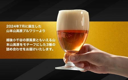 クラフトビール 定番3種飲み比べ 計3本(330ml×各1本)  山本山高原ブルワリー/ クラフトビール クラフトビール クラフトビール クラフトビール クラフトビール