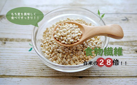No.174 もち麦9.6kg（1.2kg×8個セット） 隔月定期便3回