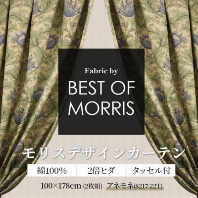 ふるさと納税 茅野市 厚地カーテン アネモネ(22T) 幅100×丈178cm 2枚組　Fabricby ベストオブモリス